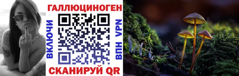 Псилоцибиновые грибы мухоморы Махачкала