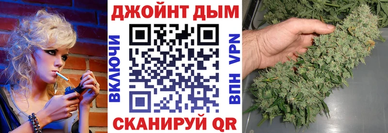 Конопля семена  как найти   omg сайт  Махачкала 